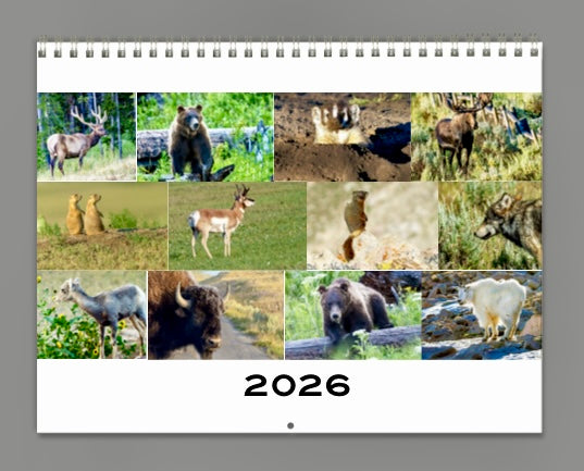 2026 Wildlife Calendar
