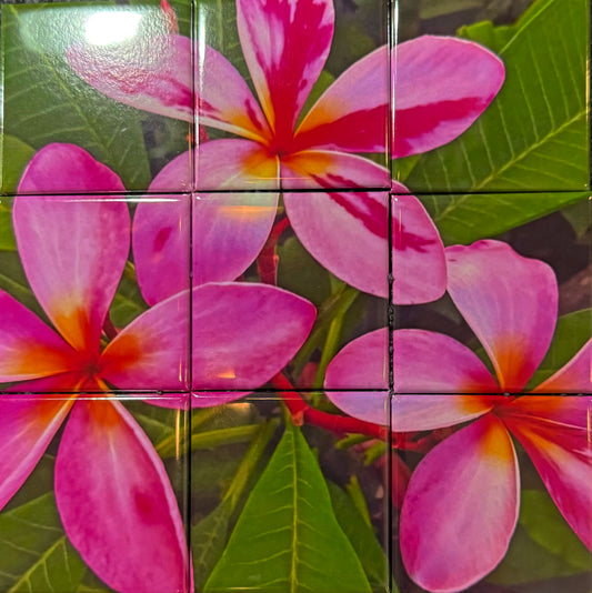 Custom Puzzle Photo Magnets (set of 9)